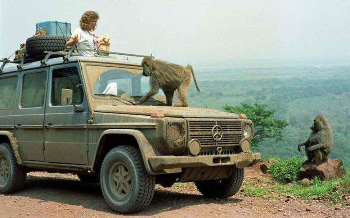 Mercedes-Benz G-Class Гюнтера Хольторфа