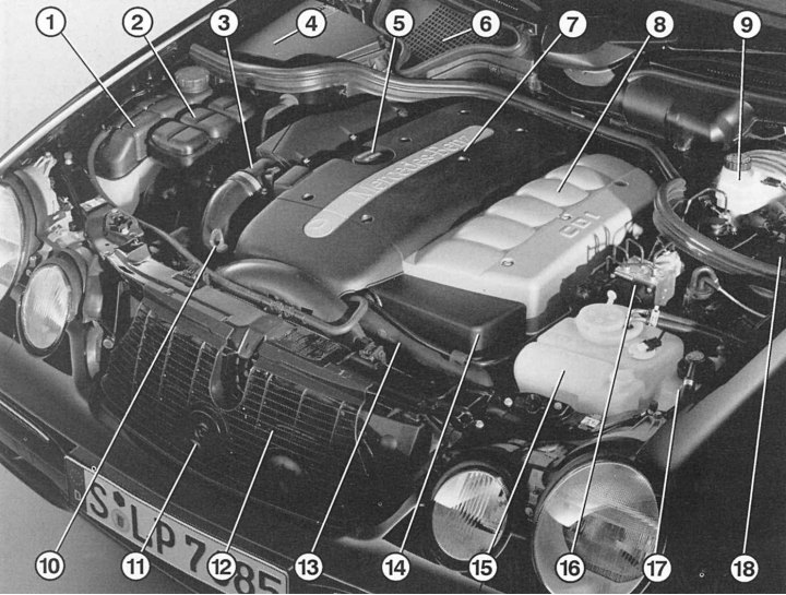 Где находится двигатель мерседес 211 Six-cylinder diesel engines (Mercedes-Benz W210 1996-2002: Diesel engines: Engin