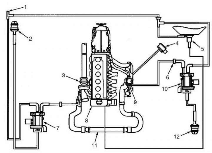 Қыздар мен киска жақыннан